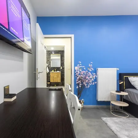 Climatise Au Rdc Avec Cuisine Privee, Tres Grande Salle De Bain, Arrivee Autonome Et Fenetre Sur Couloir
